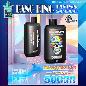 Zwei schwarze Einweg-Vaporizer von Bang King Twins auf einer pastellfarbenen futuristischen Plattform, eines auf der Vorderseite mit einer farbenfrohen Totenkopfgrafik, einem Etikett mit der Aufschrift '5000 Züge' und einer digitalen Batterieanzeige, das andere mit Produkttext und einem DelphTech-Logo, umgeben von Markenlogos und Lade-/Funktionssymbolen.