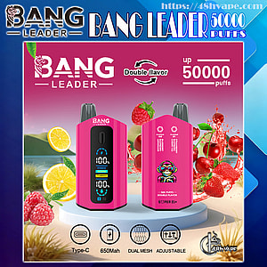 Bright pink Bang Leader disposable vape ad showing front and back of the device with a digital display and cartoon mascot, surrounded by lemons, raspberries, cherries and strawberries, labeled Double flavor and up to 50,000 puffs with icons for Type-C, 650 mAh, dual mesh and adjustable settings.
