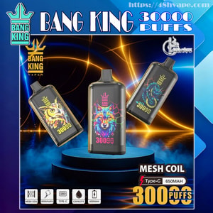 Three black Bang King disposable vape devices featuring neon animal graphics (owl, wolf, dragon) displayed on a lit pedestal with labels reading BANG KING, 30000 puffs, Mesh Coil and Type‑C 650mAh against a blue and gold glowing background.