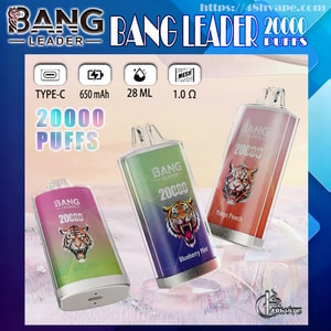 Trois appareils de vapotage jetables Bang Leader colorés avec un motif de tigre étiqueté 20 000 bouffées et saveurs (Blueberry Mint, Mango Peach), sur un fond pastel avec des icônes indiquant la charge de type C, une batterie de 650 mAh, 28 ml d'e-liquide, une maille de 1,0 Ω et une marque bien visible ' 20000 PUFFS '.