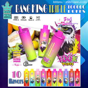 Colorful product advertisement showing three gradient pink-and-green Bang King Triple disposable vape devices with an eagle logo, a large "100K puffs" badge, small icons for Type-C/650mAh/18ml/mesh coil, and a row of ten brightly colored flavor bottles against a fruit-themed background.