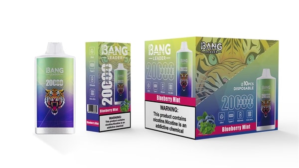 Disposable vape device and packaging for Bang Leader Blueberry Mint, featuring a white-top green-to-purple gradient cylindrical device with a roaring tiger logo alongside a single-unit box and a 10-count display box marked "20000 puffs", images of blueberries and mint, and a visible nicotine warning label.