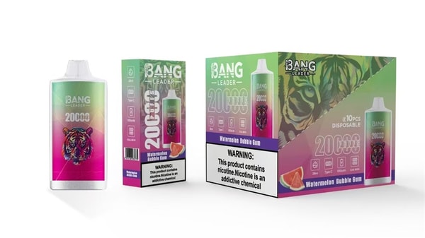 Bang Leader disposable vape device and two retail boxes in a green-to-pink gradient featuring a colorful tiger illustration and a watermelon slice, labeled 20000 puffs Watermelon Bubble Gum with a nicotine warning.
