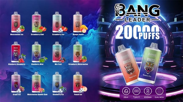 Promotional poster for Bang Leader 20000 Puffs disposable vapes showing two large angled devices labeled Mango Peach and Blueberry Mint on the right, a left-side grid of colorful cans representing twelve flavors (Watermelon Ice, Strawberry Kiwi, Strawberry Ice, Mango Peach, Blueberry Raspberry, Blueberry Mint, Mix Fruit, Strawberry Watermelon, Grape Ice, Watermelon Bubble Gum, Blueberry Ice, Peach Ice), neon futuristic background, and icons indicating 28ml, Type-C charging, 650mAh battery and dual mesh.