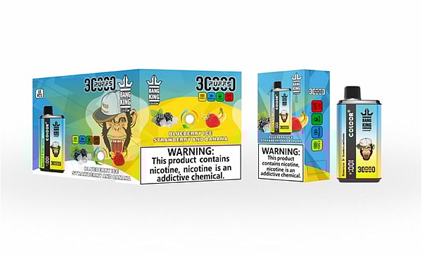 Colorful product packaging for Bang King disposable vapes displaying a cartoon monkey in a hat, fruit images (blueberries, strawberries and a banana), '3000 puffs' branding, and a prominent warning that the product contains nicotine.