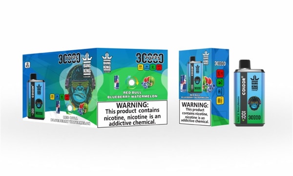 Blue-green packaging and single black-topped disposable vape for Bang King showing a stylized monkey wearing shades, '3000 puffs' text, Red Bull Blueberry Watermelon flavor icons and a prominent nicotine warning reading: This product contains nicotine, nicotine is an addictive chemical.