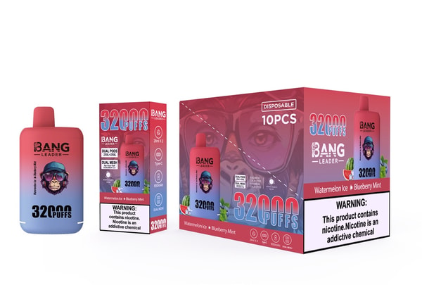 Gradient pink-to-blue disposable vape devices and matching retail boxes labeled BANG LEADER and 32000 PUFFS, advertising Watermelon Ice and Blueberry Mint flavors with a 10-piece display box and nicotine warning on the packaging.