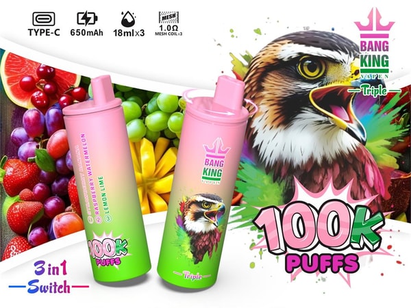 Advertisement featuring two pink-to-green gradient disposable vape devices branded "Bang King" with a hawk illustration, set against colorful fruit imagery (strawberries, grapes, bananas, citrus) and prominent text and icons reading Type-C, 650mAh, 18ml x3, 1.0Ω mesh coil, 'Triple', '3 in 1 Switch' and a large '100K PUFFS' badge.