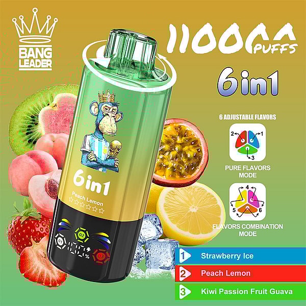 BANG LEADER 110000 Puffs Original Bang Leader 110k 6in1 Puffs LED Display Disposable Electronic Cigarettes Support customization - Image 7
