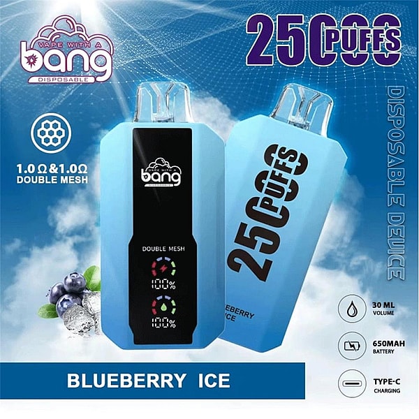 Two light-blue disposable vape devices—one front-facing with a black center panel showing 'double mesh' and battery-style icons and the other tilted to display large '25 PUFFS'—set on a cloudy blue background with blueberries and ice, labeled 'BLUEBERRY ICE' and listing specs like 1.0Ω double mesh, 30 mL, 650 mAh battery, and Type-C charging.