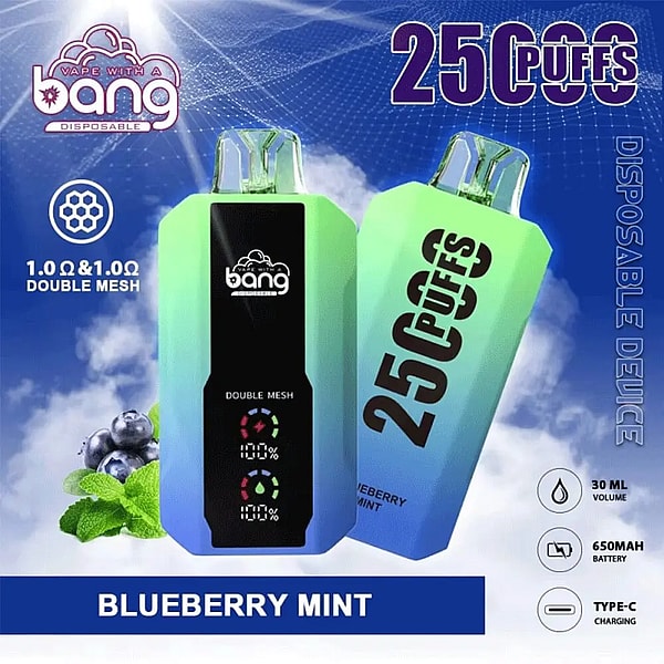Two green-to-blue gradient disposable Bang vape devices—one front-facing with a black display panel showing 'double mesh' indicators and the other angled to show '25 Puffs'—set against a cloudy blue background with blueberries and mint leaves and labels reading Blueberry Mint, 1.0Ω double mesh, 30 mL, 650 mAh and Type-C charging.