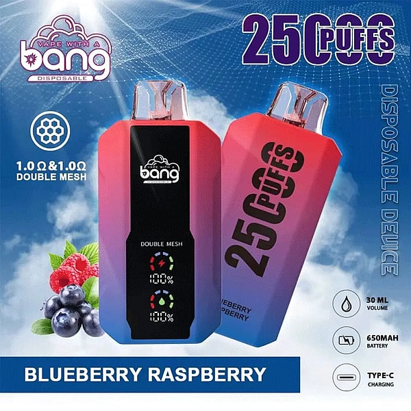 Two gradient pink-to-blue Bang disposable vape devices on a cloudy background labelled "25 Puffs," showing Blueberry Raspberry flavor with pictured blueberries and raspberries and callouts for double mesh, 30 ml volume, 650 mAh battery and Type-C charging.