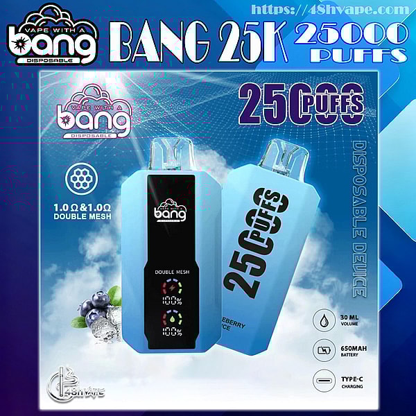 Packaging art showing two light-blue Bang disposable vape devices with prominent '25,000 puffs' text, 'double mesh' branding, icons for 30 ml volume, 650 mAh battery and Type‑C charging, and blueberry imagery against a blue vapor background.