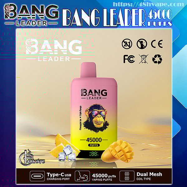 Pink-to-yellow gradient disposable vape device labeled BANG LEADER displayed with mango pieces and ice cubes, advertising 45,000 puffs, Type-C charging and dual mesh coil icons, and certification symbols against a beige background.
