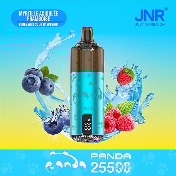 A metallic turquoise JNR Panda disposable vape device with a brown mouthpiece and '25500 puffs' branding, surrounded by splashing water, blueberries and raspberries on a blue-to-yellow gradient background.
