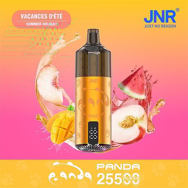 Golden-orange JNR 'Panda' disposable vape device centered against a pink-to-orange gradient background, surrounded by splashing mango, peach and watermelon slices and labeled with 'Vacances d'été Summer Holiday' and 'Panda 25500 puffs'.
