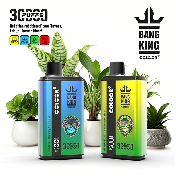 Two rectangular Bang King disposable vape devices with black mouthpieces, one blue-green and one yellow-green featuring the crown logo and colorful monkey-face art, displayed in front of several potted green plants and branding text.
