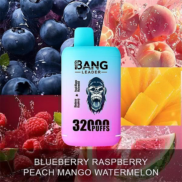 Gradient cyan-to-pink disposable vape device labeled 'Bang Leader 32000 Puffs' centered over a collage of blueberries, raspberries, peaches, mango slices and watermelon, with flavor names listed across the bottom.