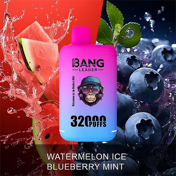 Gradient pink-to-blue disposable vape device labeled 'BANG LEADER 3200 PUFFS' centered between splashing watermelon slices on the left and icy blueberries with mint leaves on the right, with flavor text 'WATERMELON ICE BLUEBERRY MINT' at the bottom.