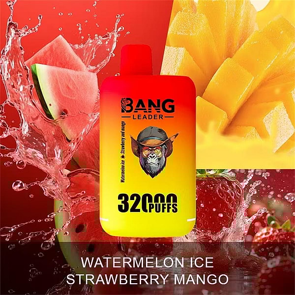 Bright red-to-yellow disposable vape device labeled BANG LEADER and 32000 PUFFS centered over splashing watermelon, strawberries and mango slices with the flavor text WATERMELON ICE STRAWBERRY MANGO along the bottom.