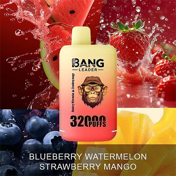 Disposable vape device labeled BANG LEADER 32000 PUFFS with a yellow-to-red gradient, centered against splashing watermelon, strawberries, blueberries and mango imagery and flavor text listing blueberry, watermelon, strawberry, mango.