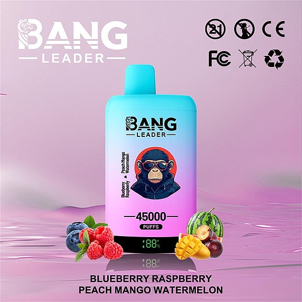 Pastel blue-to-pink disposable vape device labeled BANG LEADER and 45000 PUFFS, featuring an illustrated character on the front, surrounded by blueberries, raspberries, mango and watermelon, certification logos, and flavor text on a pink gradient background.