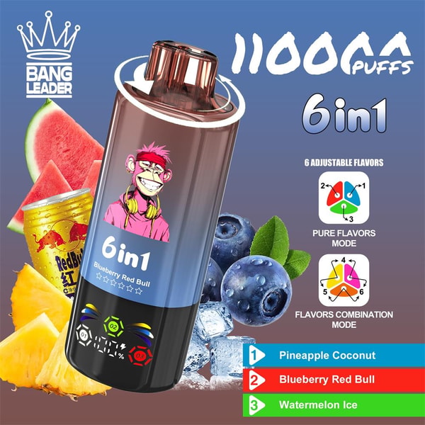 BANG LEADER 110000 Puffs Original Bang Leader 110k 6in1 Puffs LED Display Disposable Electronic Cigarettes Support customization - Image 4