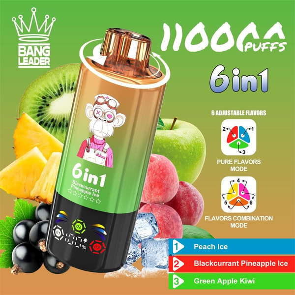 BANG LEADER 110000 Puffs Original Bang Leader 110k 6in1 Puffs LED Display Disposable Electronic Cigarettes Support customization - Image 5
