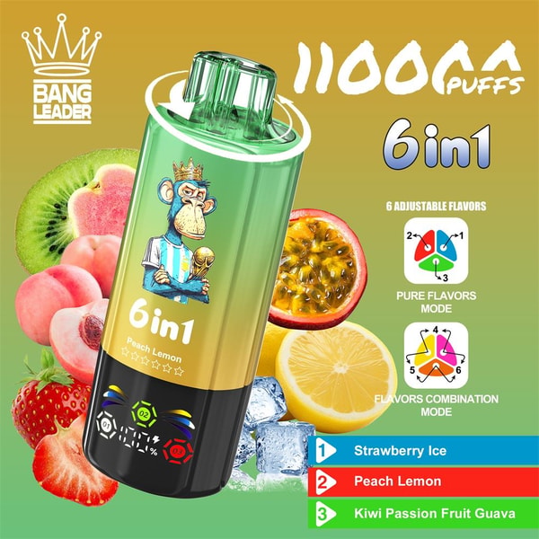 BANG LEADER 110000 Puffs Original Bang Leader 110k 6in1 Puffs LED Display Disposable Electronic Cigarettes Support customization - Image 7