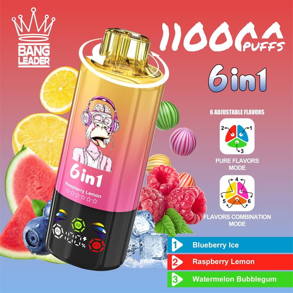 Colorful disposable vape device with a yellow-to-pink gradient body and black base, featuring a cartoon monkey with headphones, labeled “6in1” and “11000 puffs,” surrounded by fruit slices and ice cubes with a sidebar listing Blueberry Ice, Raspberry Lemon, and Watermelon Bubblegum flavors and a Bang Leader crown logo.