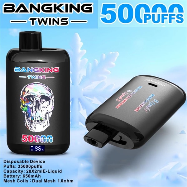 Promotional image of two black Bangking Twins disposable vape devices against a frosty blue background, one standing upright displaying a colorful skull graphic and a small digital puff counter and the other lying on its side, with large '500 PUFFS' branding at the top.