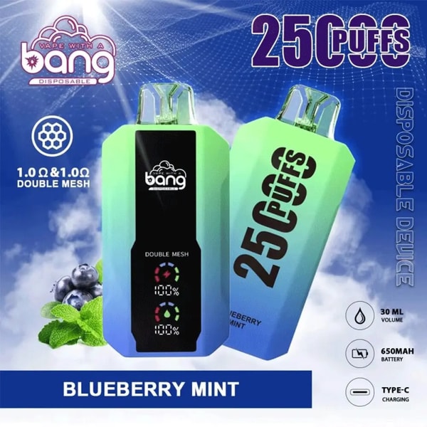 Two green-to-blue gradient disposable Bang vape devices—one front-facing with a black display panel showing 'double mesh' indicators and the other angled to show '25 Puffs'—set against a cloudy blue background with blueberries and mint leaves and labels reading Blueberry Mint, 1.0Ω double mesh, 30 mL, 650 mAh and Type-C charging.