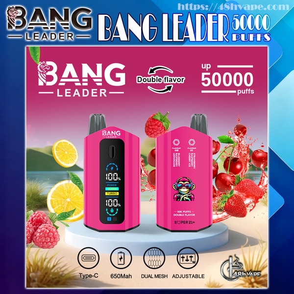 Bright pink Bang Leader disposable vape ad showing front and back of the device with a digital display and cartoon mascot, surrounded by lemons, raspberries, cherries and strawberries, labeled Double flavor and up to 50,000 puffs with icons for Type-C, 650 mAh, dual mesh and adjustable settings.