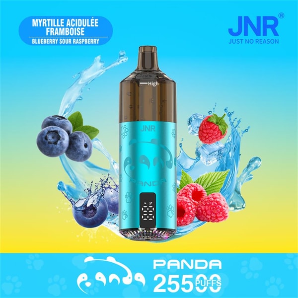 A metallic turquoise JNR Panda disposable vape device with a brown mouthpiece and '25500 puffs' branding, surrounded by splashing water, blueberries and raspberries on a blue-to-yellow gradient background.