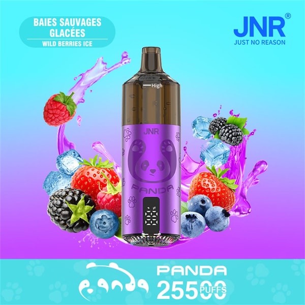 Purple JNR Panda disposable vape device with a panda logo centered on a blue-to-purple gradient background, surrounded by strawberries, raspberries, blackberries, blueberries and ice splashes, with text reading "Baies Sauvages Glacées / Wild Berries Ice," the JNR logo, and "PANDA 25500 PUFFS".