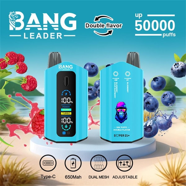 Two turquoise Bang Leader disposable vape devices shown front and back on a beach-like background with raspberries and blueberries, featuring a digital power display, colorful gorilla logo, 'Double flavor' and 'up 50000 puffs' text, and icons for Type-C charging, 650mAh battery, dual mesh and adjustable settings.