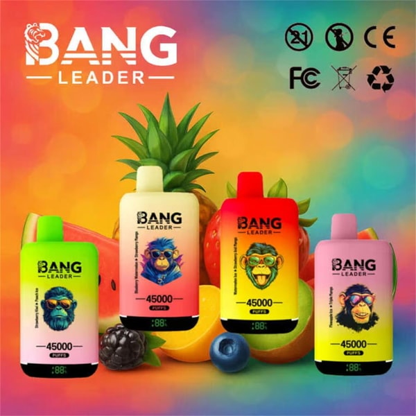 Colorful promotional image showing four BANG LEADER disposable vape devices in bright gradient colors, each featuring a cartoon monkey face and a '45000 puffs' label, arranged in front of fruit (pineapple, berries, watermelon and citrus) with the brand logo at top left and regulatory icons at top right.
