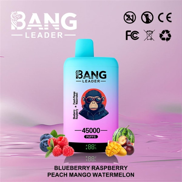 Pastel blue-to-pink disposable vape device labeled BANG LEADER and 45000 PUFFS, featuring an illustrated character on the front, surrounded by blueberries, raspberries, mango and watermelon, certification logos, and flavor text on a pink gradient background.